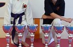 Lillie + Finley
3 GOLDS each from the Toyakwai Essex Karate Competition July 2015